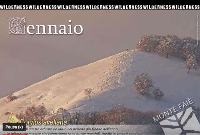 Schermata 2021 12 17 alle 09.50.18