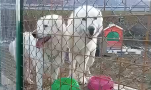 Schermata 2022 01 13 alle 08.40.21