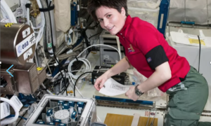 Schermata 2022 08 08 alle 10.39.18