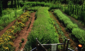 Schermata 2023 02 07 alle 12.22.22