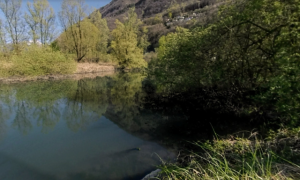 Schermata 2023 06 28 alle 16.20.56