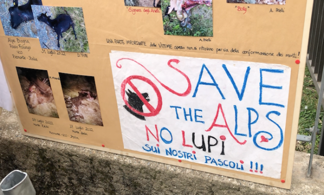 Schermata 2023 07 13 alle 13.43.08