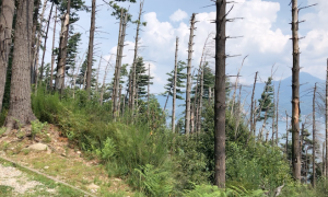 Schermata 2023 08 14 alle 16.50.17