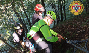 Schermata 2023 08 15 alle 17.55.31