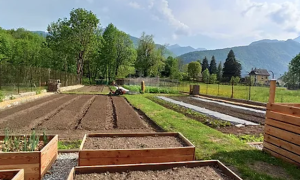 Schermata 2023 08 24 alle 08.45.18