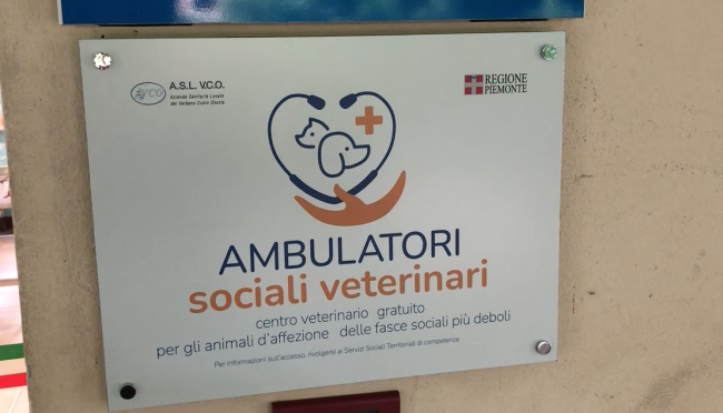 Schermata 2023 09 14 alle 14.38.13