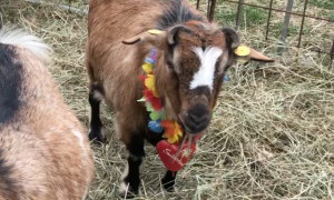 Schermata 2023 10 26 alle 09.12.59