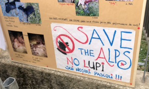 Schermata 2023 12 12 alle 09.14.25