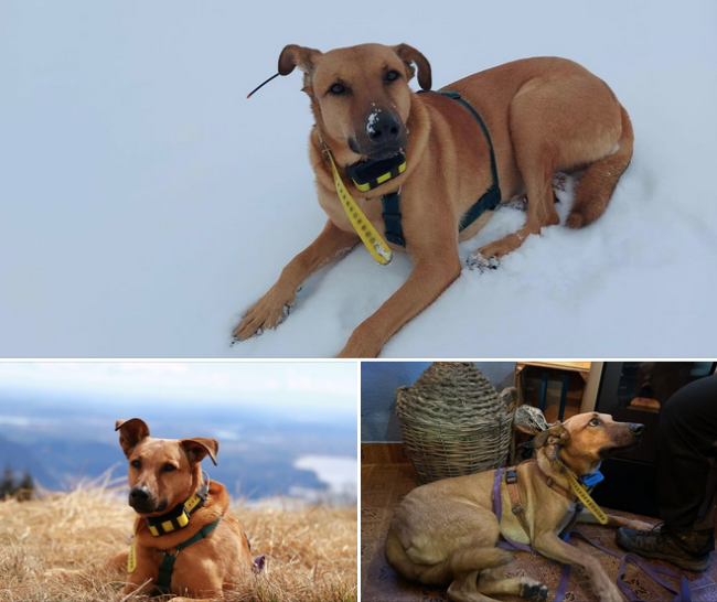 Schermata 2024 01 08 alle 17.31.43