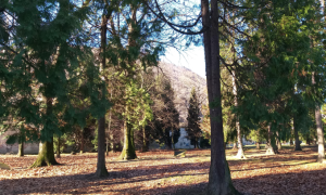 Schermata 2024 04 16 alle 16.53.51