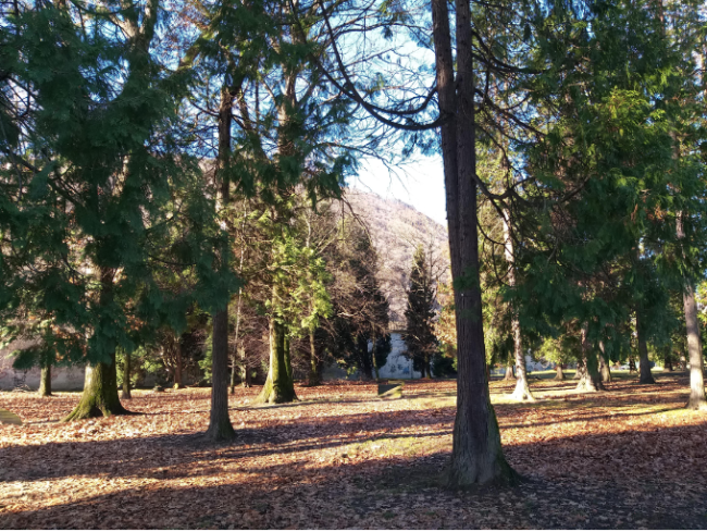 Schermata 2024 04 16 alle 16.53.51