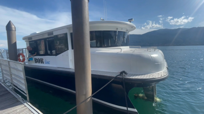 Schermata 2024 08 12 alle 13.41.08