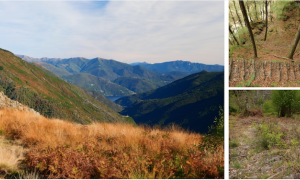 Schermata 2024 10 01 alle 10.16.41