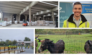 Schermata 2024 10 26 alle 15.37.18