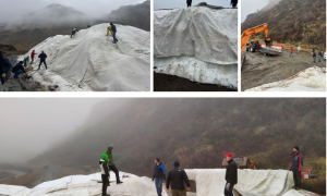 Schermata 2024 10 28 alle 09.14.11