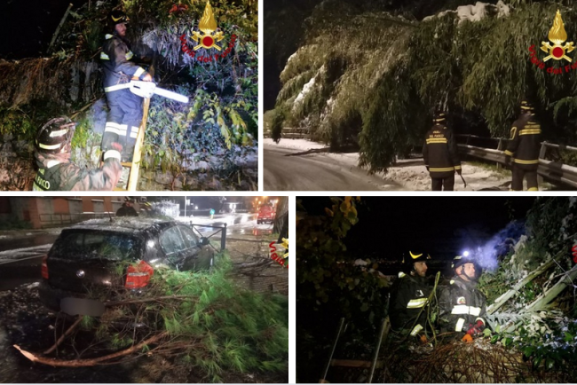 Schermata 2024 11 22 alle 08.30.38