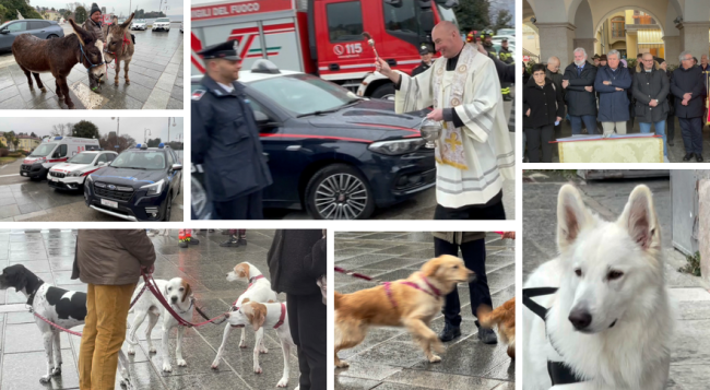 Schermata 2025 01 19 alle 17.35.07