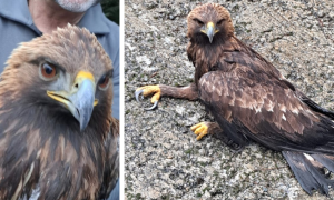 Schermata 2025 04 09 alle 15.12.21