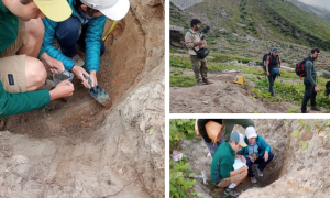 Schermata 2025 08 01 alle 17.13.18