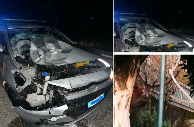 Schermata 2025 09 12 alle 13.19.11