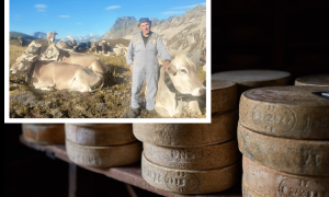 Schermata 2025 09 16 alle 09.24.42