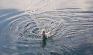 Schermata 2025 09 25 alle 12.13.18