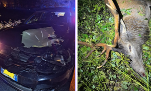 Schermata 2025 09 27 alle 08.52.13