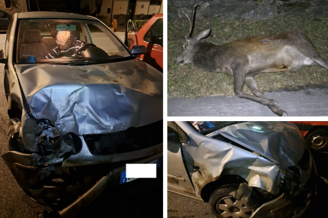 Schermata 2025 09 30 alle 09.25.11