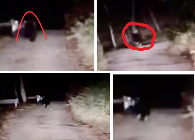 Schermata 2025 11 03 alle 12.07.10