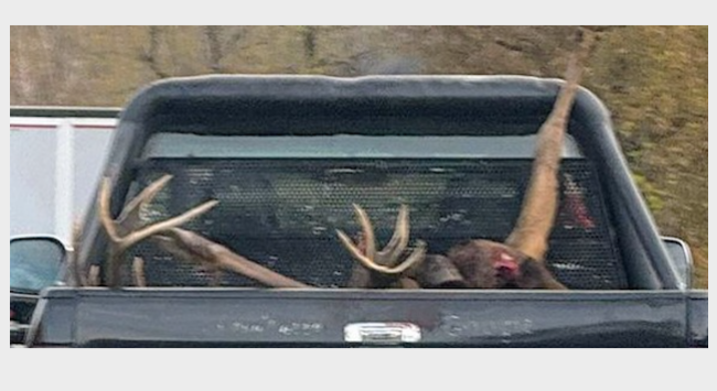 Schermata 2025 11 20 alle 17.10.38