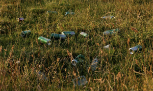 Screenshot 2024 08 14 alle 09.48.07