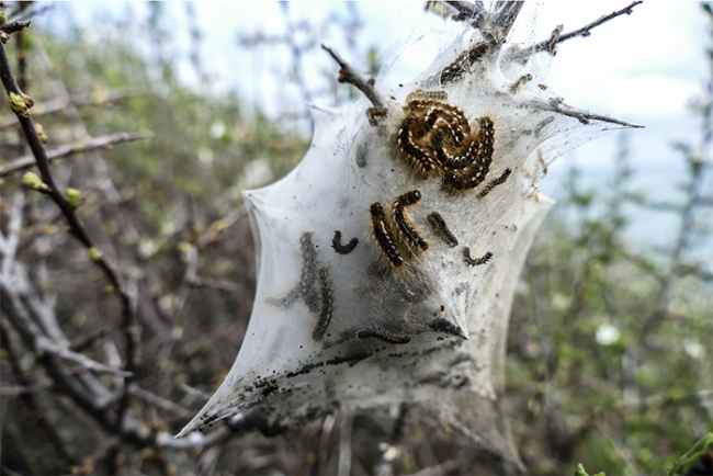 Screenshot 2025 02 02 alle 12.30.14