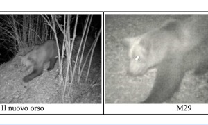 Screenshot 2025 08 28 alle 19.27.00