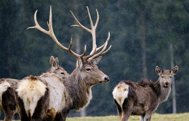 Screenshot 2025 08 29 alle 09.42.58