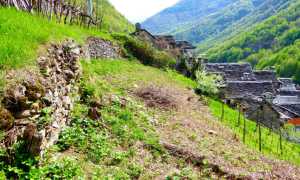 Terra Viva1 1024x681