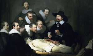 The Anatomy Lesson