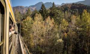 Treno del Foliage Ferrovia Vigezzina Centovalli ph. Giovanni Tagini 8