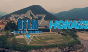 UTLM