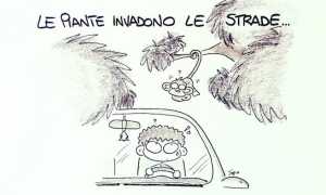 WhatsApp Image 2018 07 17 at 11.53.47