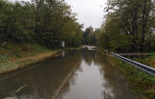 WhatsApp Image 2018 11 06 at 12.25.132 copia