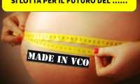 WhatsApp Image 2019 02 12 at 11.32.31