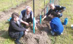 WhatsApp Image 2019 05 22 at 14.52.32