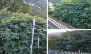 WhatsApp Image 2019 09 30 at 17.21.42