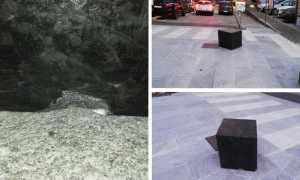 WhatsApp Image 2019 10 17 at 18.55.25