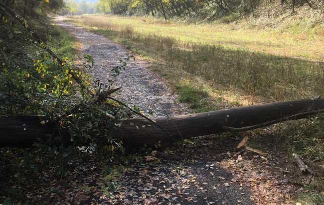 WhatsApp Image 2019 10 23 at 11.52.00