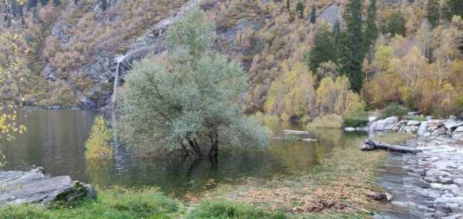 WhatsApp Image 2019 10 26 at 11.24.28