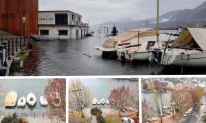 WhatsApp Image 2019 11 24 at 12.16.401