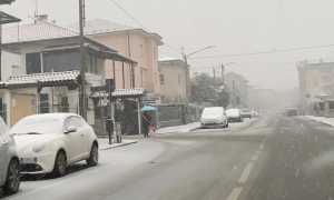 WhatsApp Image 2019 12 13 at 08.49.51