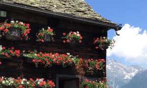 WhatsApp Image 2020 01 30 at 13.42.15