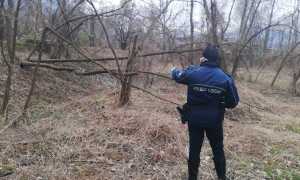 WhatsApp Image 2020 03 16 at 18.41.38